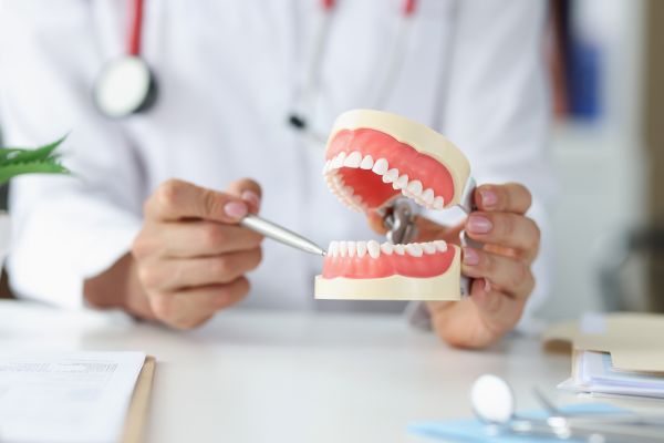 Reasons To Choose Periodontics
